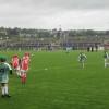 U10 Hurlers at Christy Ring Semi Final