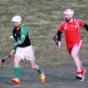 SENIOR HURLING VERSUS BALLELA