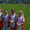 U-8 Camogie Blitz