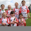 Camogie Blitz Ballyvarley May 2014