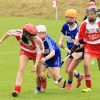 National Camogie Feilé 2