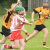 National Camogie Feilé 3