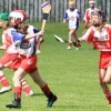 National Camogie Feilé 4