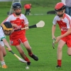 Ballyvarley V Leitriom U-12 Hurling