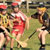 U-12 HL Ballyvarley V Ballycran.