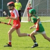 U-12 Hurlers Win League Final, Ballyvarley V Kilclief.