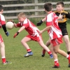 U-12 FL Aghaderg V Glenn