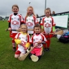 U-6, U-8 & U-10 Camogie Blitz