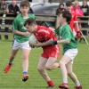 U-14 FL Div III Aghaderg V Saval