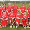 U-13 CAMOGIE CHALLENGE AGHADERG V KILLEAVEY