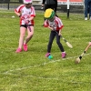 U-8 CAMOGIE BLITZ