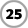 25